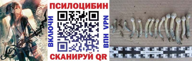купить закладку  Семикаракорск  Галлюциногенные грибы Psilocybe 